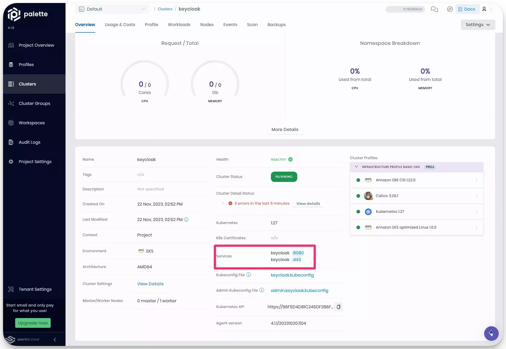 View of the cluster details page